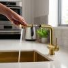 Pure.Sink Elite Steel Pulse-S Kitchen Faucet, PVD Brushed Gold, with Pull-Out Spout, PS8500-60